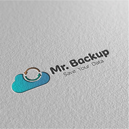 mr. logo design